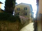 Foto - Casa indipendente 450 mq, buono stato, Monte San Savino