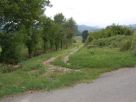 Terreno Vendita Mombello Monferrato 