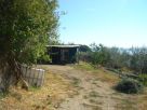 Foto - Bilocale, da ristrutturare, 64 mq, Gradoli