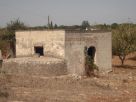 Foto - Rustico / Casale Contrada paludi, San Vito Dei Normanni