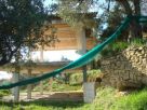 Foto - Rustico / Casale località san giorgio, Casal Velino