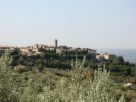 Foto - Casa indipendente 40 mq, ottimo stato, Montecchio