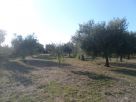 Terreno Vendita Ortona 