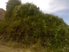 Foto - Rustico / Casale, da ristrutturare, 100 mq, Montecosaro