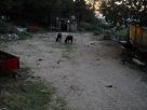 Foto - Rustico / Casale, da ristrutturare, 35 mq, Sgurgola