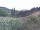 Terreno Vendita Loiano 
