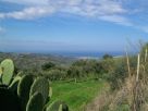 Terreno Vendita Collesano 