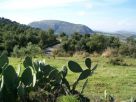 Terreno Vendita Collesano 