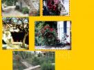 Foto - Casa indipendente Strada Provinciale -Roccamonfina, Teano