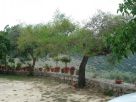 Foto - Casa indipendente viale Mario Giardino, Sortino