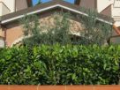 Foto - Villetta a schiera via della Fiera, Piombino