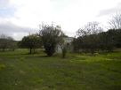 Foto - Rustico / Casale, da ristrutturare, 50 mq, Cutrofiano