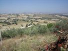 Foto - Immobile 34000 mq, Recanati