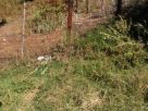Terreno Vendita Sacrofano 