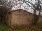 Foto - Rustico / Casale, da ristrutturare, 500 mq, Montelupone