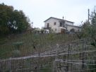Foto - Rustico / Casale Contrada Scalelle, Savoia Di Lucania