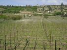 Foto - Quadrilocale San Vito, Negrar