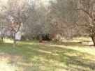 Terreno Vendita Ascea 
