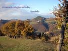 Foto - Rustico / Casale via Rancitella 1, Urbino