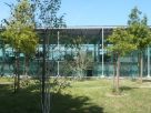 Foto - Villa, ottimo stato, 400 mq, Torriana
