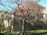 Foto - Villa, buono stato, 330 mq, Castiglioncello
