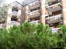 Foto - Quadrilocale via Giuseppe Pellegrini, Bari