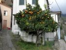 Foto - Casa indipendente via Palmenzone 39-45, Montignoso