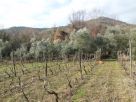 Terreno Vendita Mondragone 