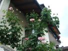 Foto - Casa indipendente via Nuova 60, Fonzaso