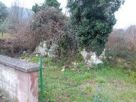Foto - Rustico / Casale via ponticello, Morolo