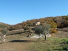 Foto - Rustico / Casale, da ristrutturare, 150 mq, Piegaro