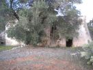 Foto - Rustico / Casale, da ristrutturare, 40 mq, Corigliano D'Otranto