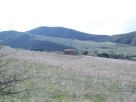 Terreno Vendita Collesano 