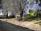 Foto - Rustico / Casale, da ristrutturare, 75 mq, Cutrofiano