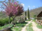 Foto - Rustico / Casale, buono stato, 140 mq, Penna In Teverina
