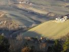 Foto - Rustico / Casale, da ristrutturare, 220 mq, Cossignano