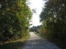 Terreno Vendita Castiglione In Teverina 