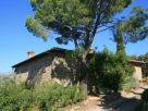 Foto - Rustico / Casale, ottimo stato, 300 mq, Pergine Valdarno
