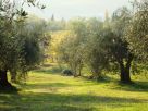 Foto - Rustico / Casale Covignano, Rimini