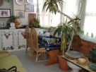 Foto - Appartamento via Trazzera Marina 635, Capo D'Orlando