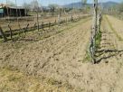 Foto - Rustico / Casale via Nazario Sauro, Cascina