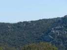Terreno Vendita Sant'Antonio Di Gallura 