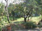 Terreno Vendita Sant'Egidio Del Monte Albino 