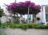 Villa Vendita Anacapri 