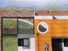 Foto - Rustico / Casale Localita' Pianezze, Borgiallo