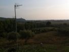 Foto - Trilocale buono stato, primo piano, Castelnuovo Cilento