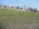 Terreno Vendita Montiglio Monferrato 