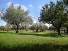 Terreno Vendita Caltagirone 