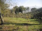 Terreno Vendita Grottolella 