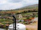 Appartamento Vendita Minervino Murge 